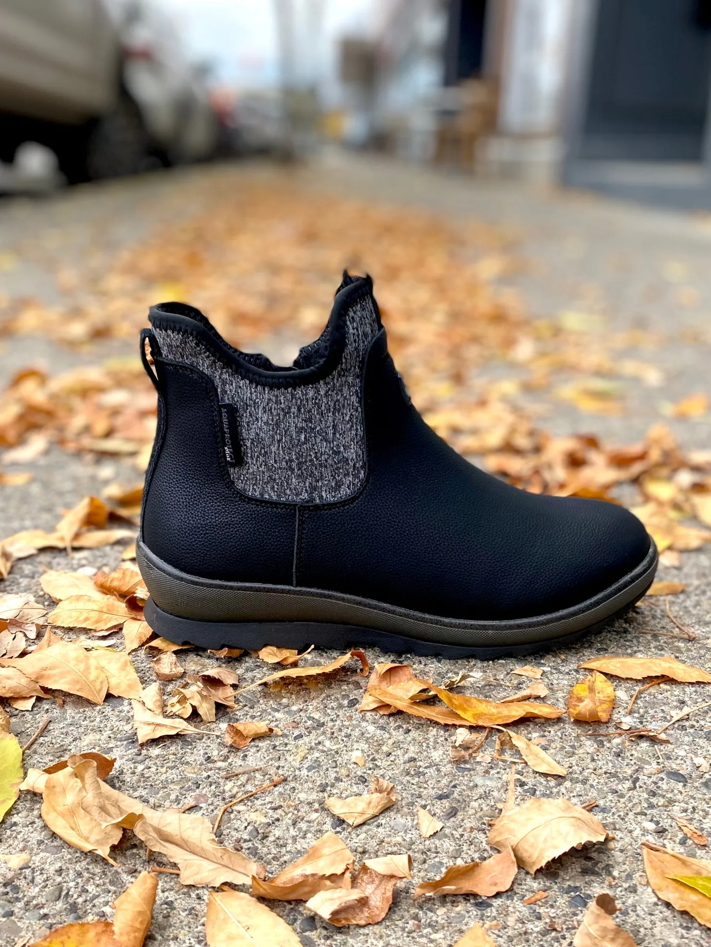 Blondo - Martee - Black