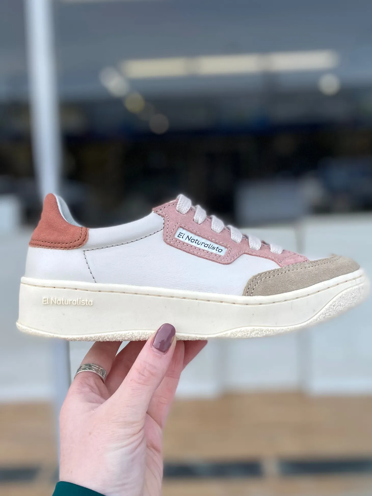 El Naturalista - 5842 - Blush