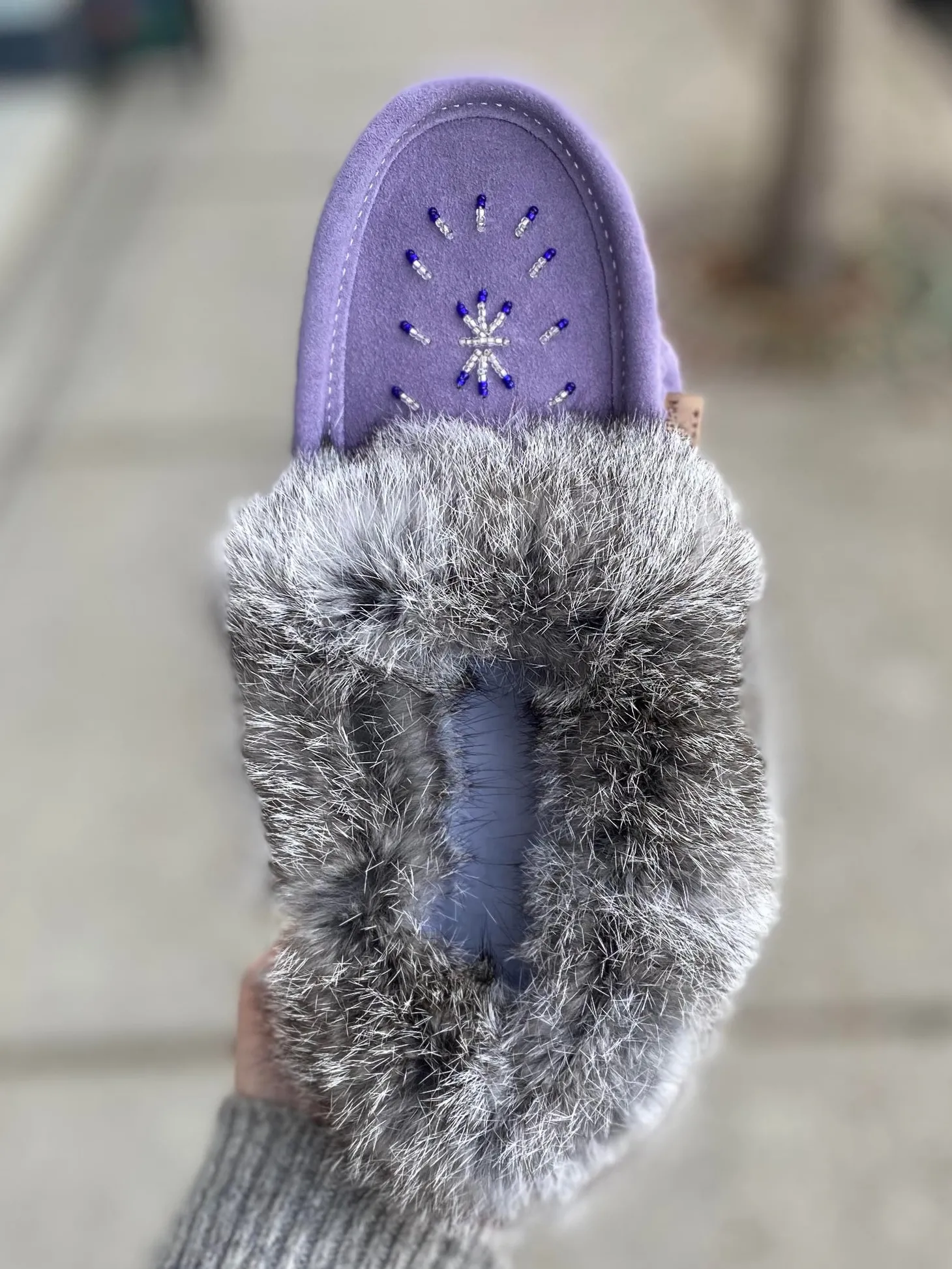 Laurentian Chief - 600PUL - Purple