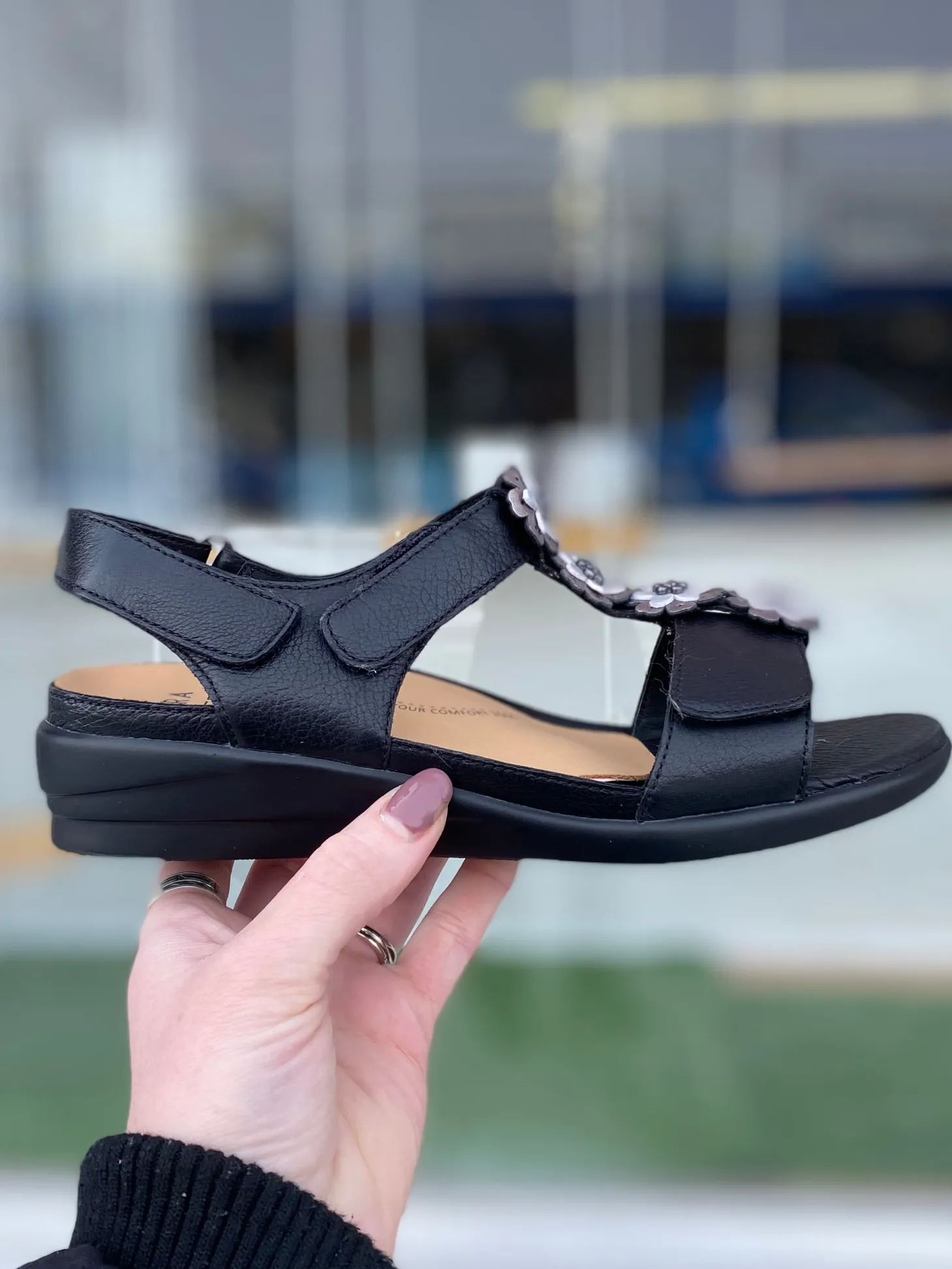 Ziera - Dagnet - Black *WIDE*