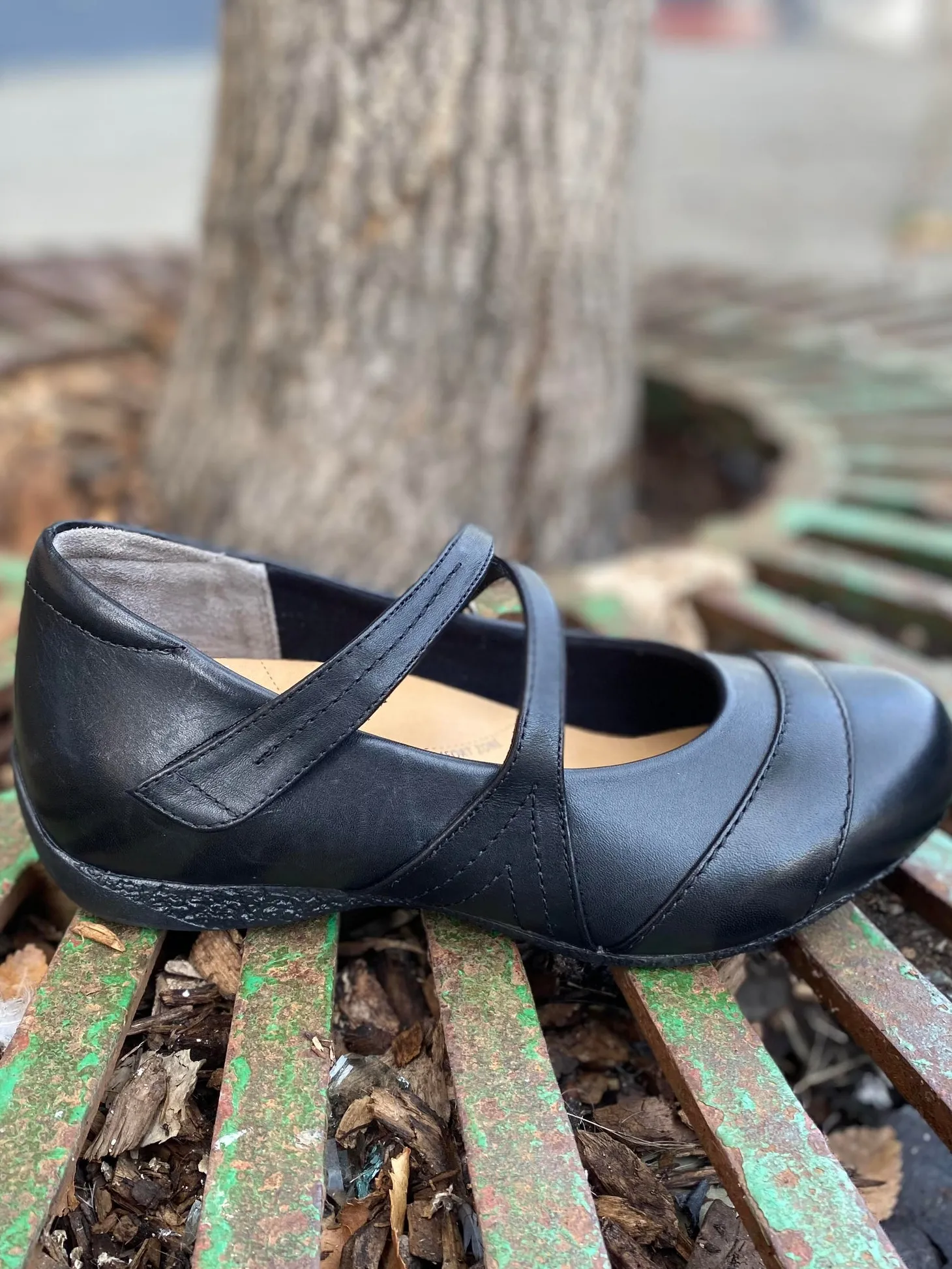 Ziera - X-ray - Black *WIDE*